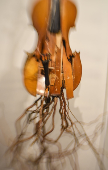 Diseño sin título (13)