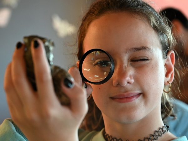 UNIVERSIDAD NACIONAL DE LA PAMPA