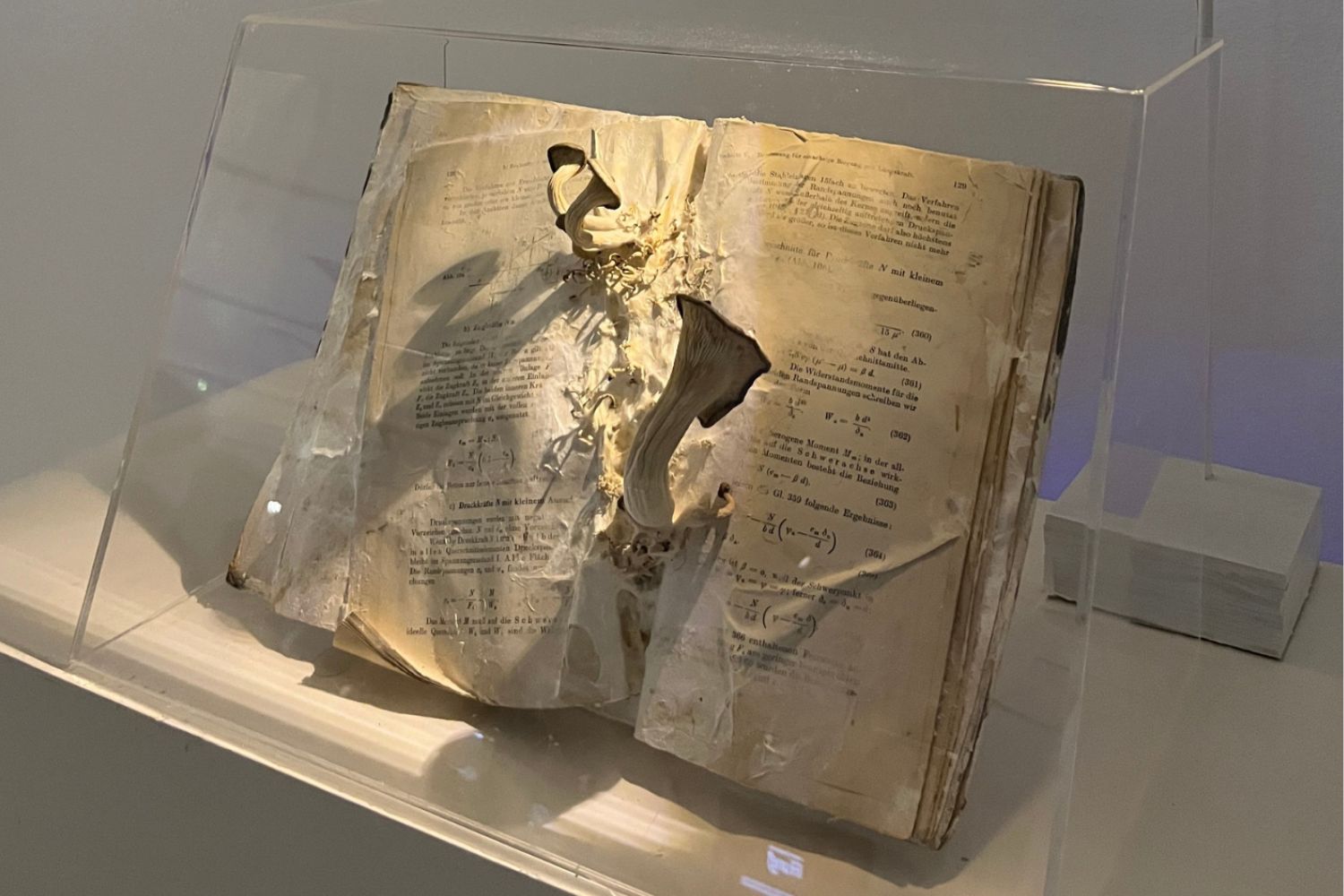 Diseño sin título (1)