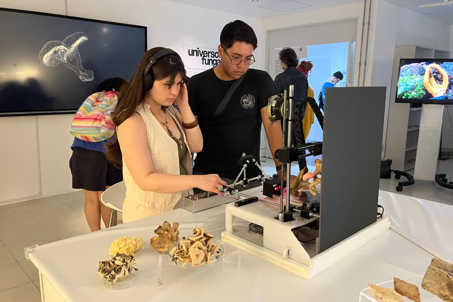 Diseño sin título (3)