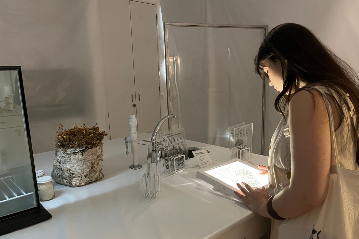 Diseño sin título (5)