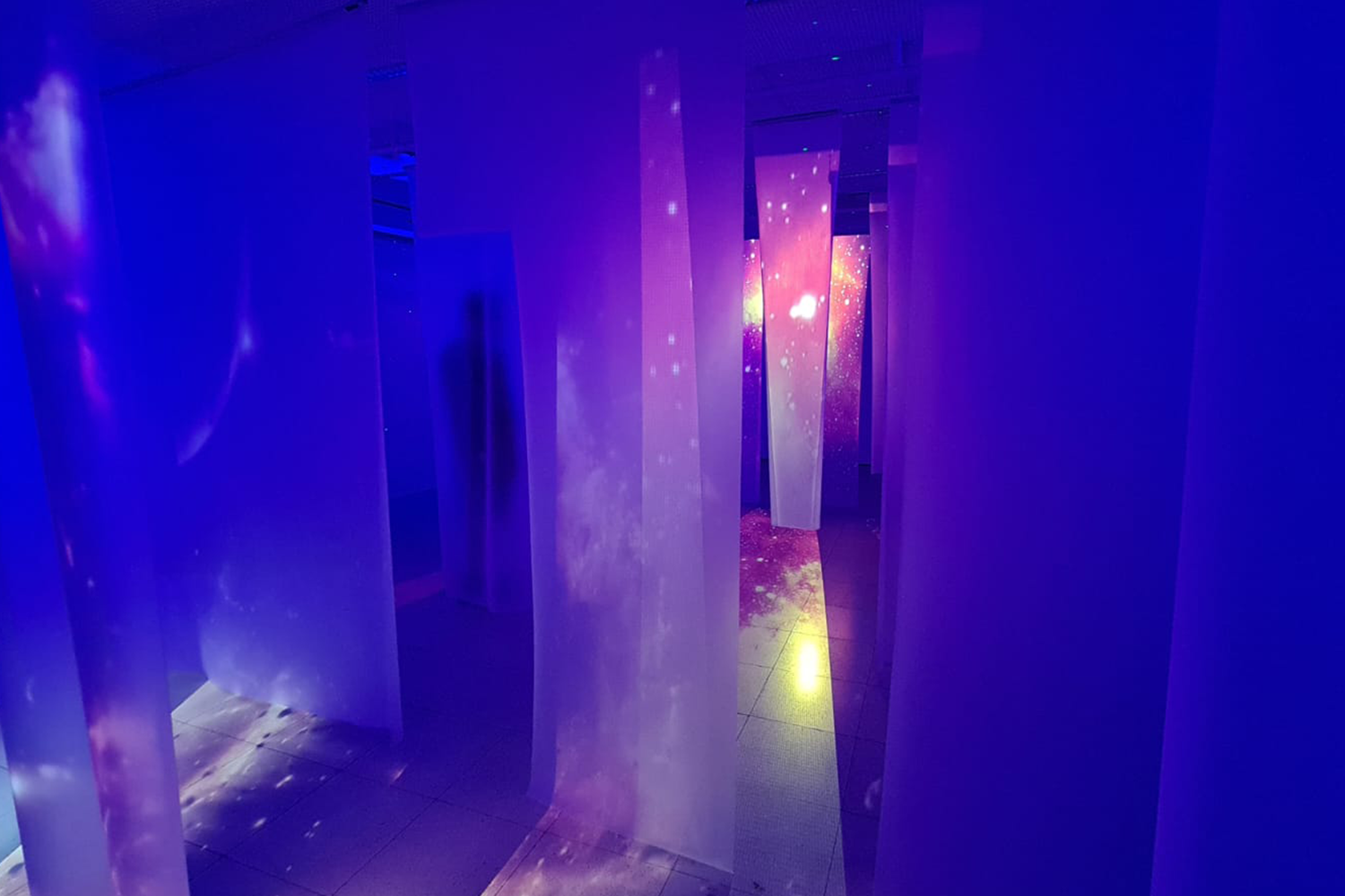 Lee más sobre el artículo ESPACIO COSMOS